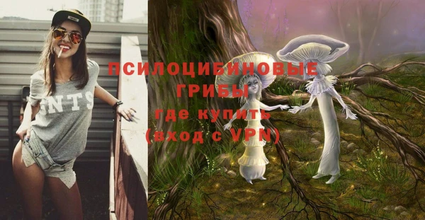 COCAINE Алексеевка