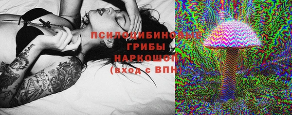 мяу мяу мука Алзамай