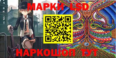 PSILOCYBIN Ирбит