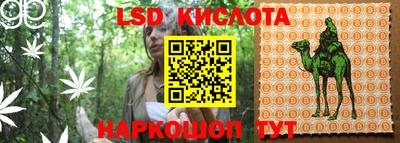 PSILOCYBIN Ирбит