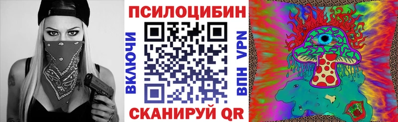 Псилоцибиновые грибы Cubensis  OMG ссылки  Шадринск 