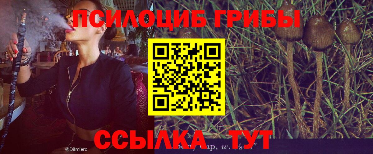 Галлюциногенные грибы Cubensis  Вход с VPN  Шадринск  Галлюциногенные грибы Psilocybe 